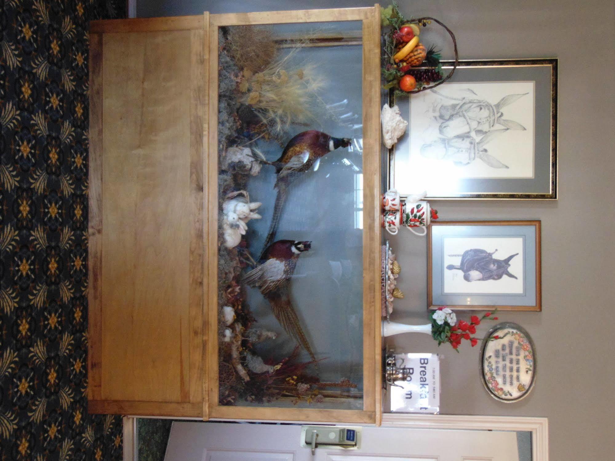 Heritage House Inn Muleshoe Экстерьер фото